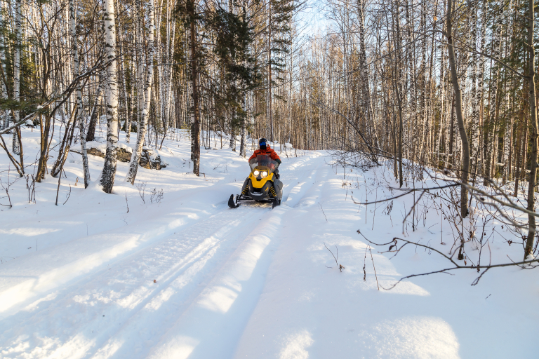 Athlete driving snowmobile in woods.